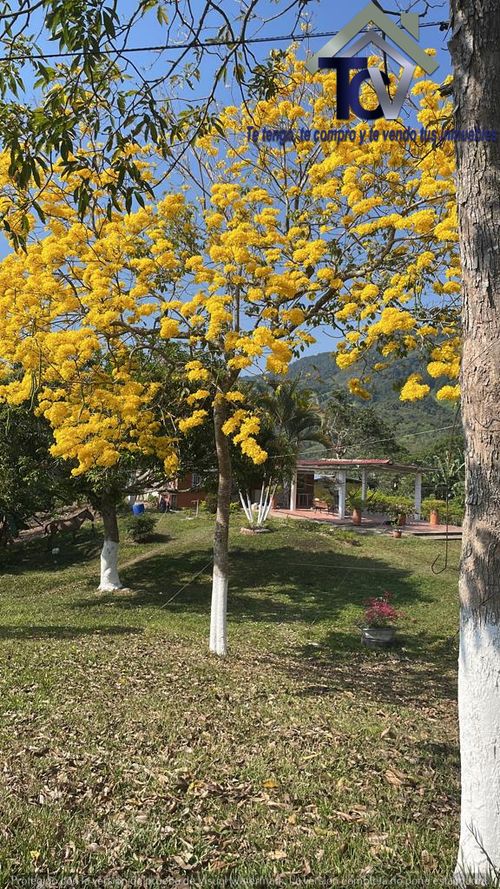 Finca en venta en Rionegro · foto 6 de 12
