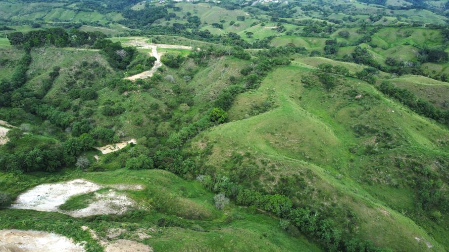 Lote en venta en Cerritos, Pereira, 10000 m² · foto 7 de 24