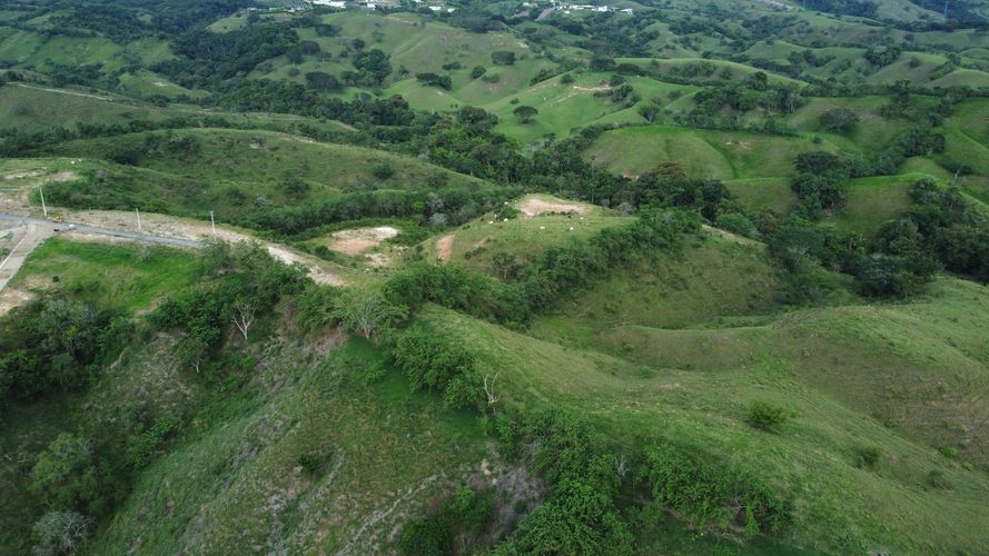 Lote en venta en Cerritos, Pereira, 10000 m² · foto 9 de 24