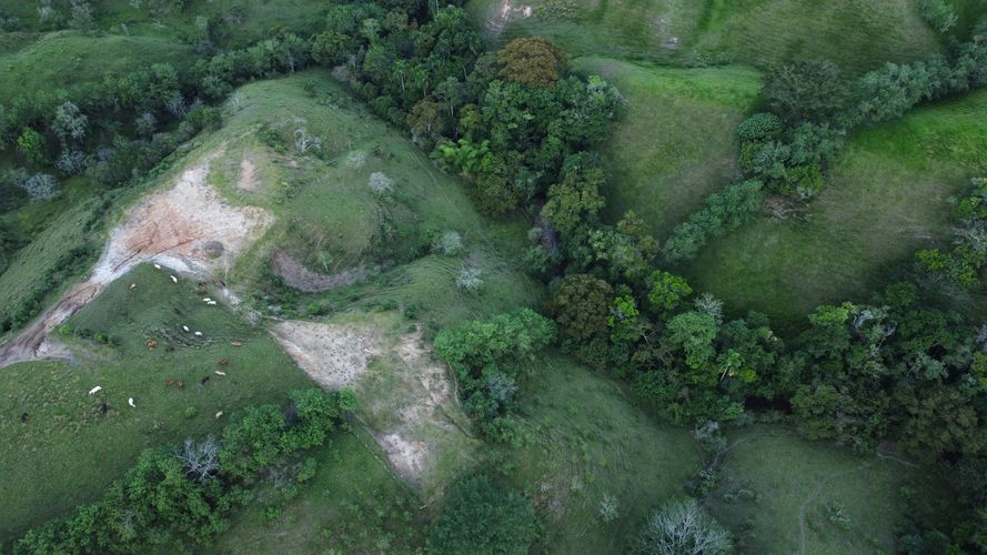 Lote en venta en Cerritos, Pereira, 10000 m² · foto 16 de 24