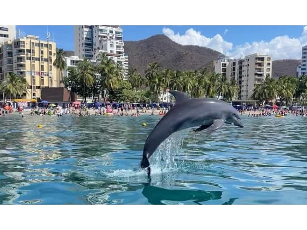 Apartamento en venta en Rodadero, Santa Marta · foto 5 de 21