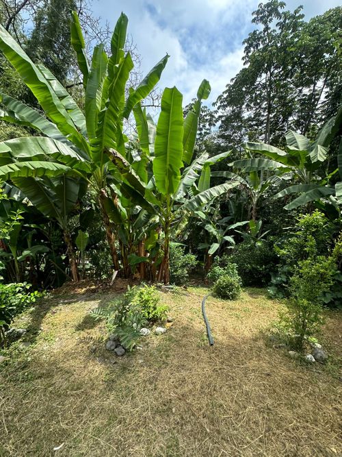 Casa de 11 alcobas en venta en Ayacucho - La Buitrera, Palmira, 1207 m² · foto 14 de 24