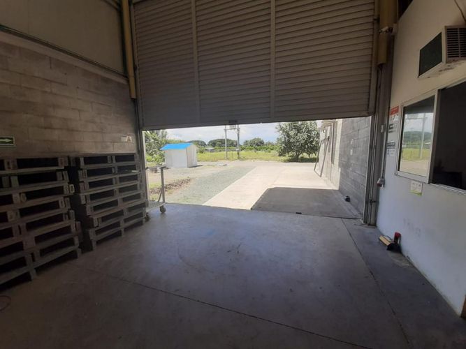 Bodega en venta en Palmaseca, Palmira, 1000 m² · foto 10 de 24