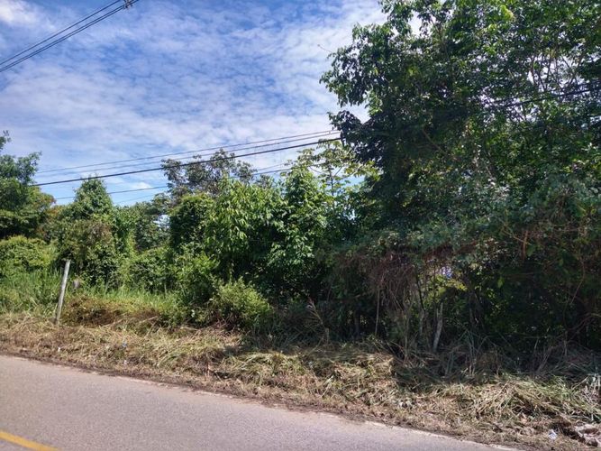 Lote en venta en Ruitoque Bajo, Floridablanca, 50000 m² · foto 3 de 23