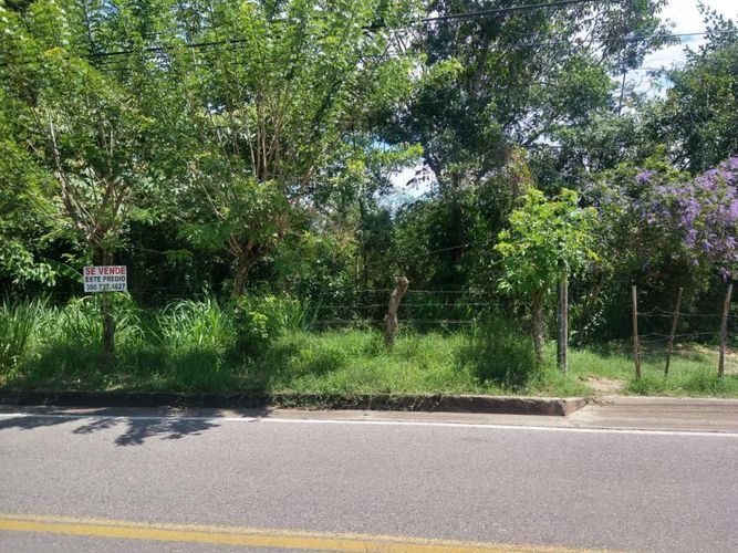 Lote en venta en Ruitoque Bajo, Floridablanca, 50000 m² · foto 4 de 23