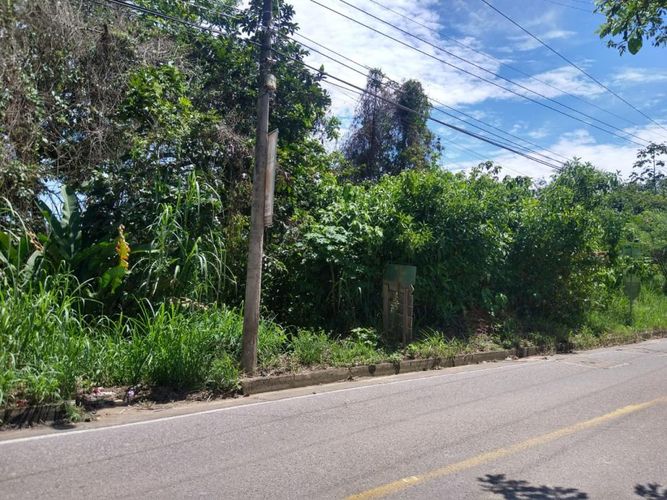 Lote en venta en Ruitoque Bajo, Floridablanca, 50000 m² · foto 5 de 23