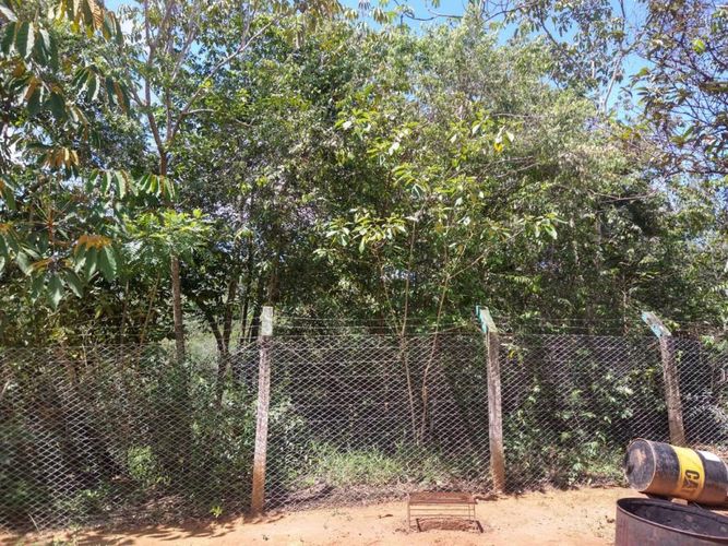 Lote en venta en Ruitoque Bajo, Floridablanca, 50000 m² · foto 6 de 23