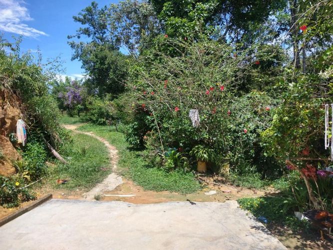 Lote en venta en Ruitoque Bajo, Floridablanca, 50000 m² · foto 11 de 23