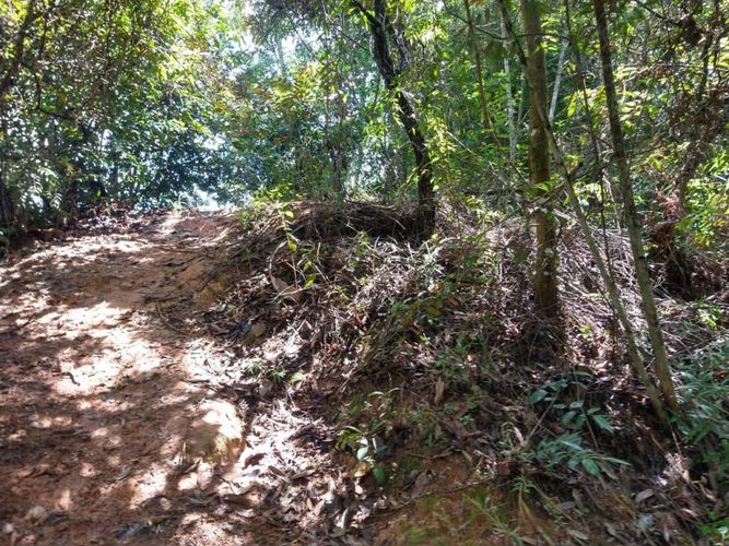 Lote en venta en Ruitoque Bajo, Floridablanca, 50000 m² · foto 16 de 23