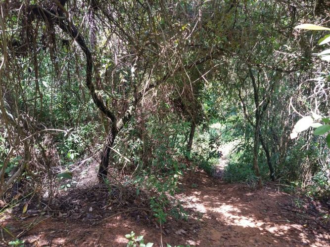Lote en venta en Ruitoque Bajo, Floridablanca, 50000 m² · foto 17 de 23