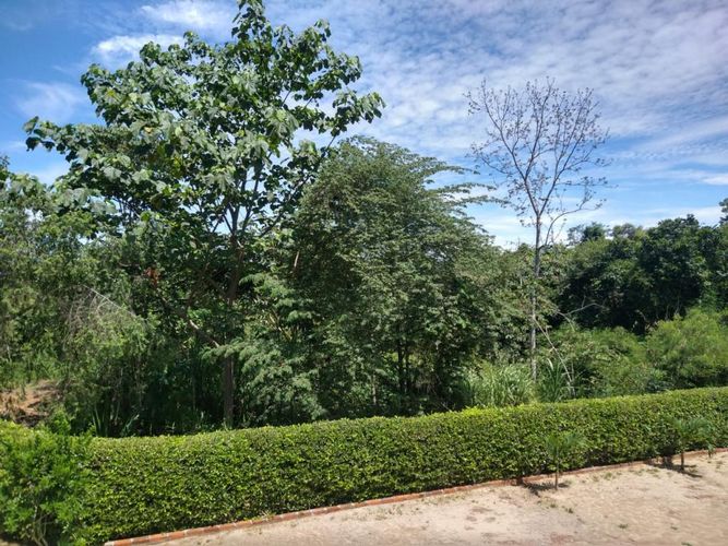 Lote en venta en Ruitoque Bajo, Floridablanca, 50000 m² · foto 18 de 23