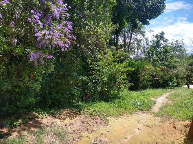 Lote en venta en Ruitoque Bajo, Floridablanca, 50000 m² · foto 21 de 23