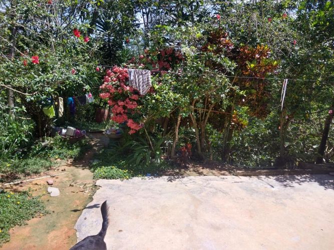 Lote en venta en Ruitoque Bajo, Floridablanca, 50000 m² · foto 22 de 23
