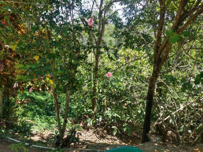 Lote en venta en Ruitoque Bajo, Floridablanca, 50000 m² · foto 23 de 23