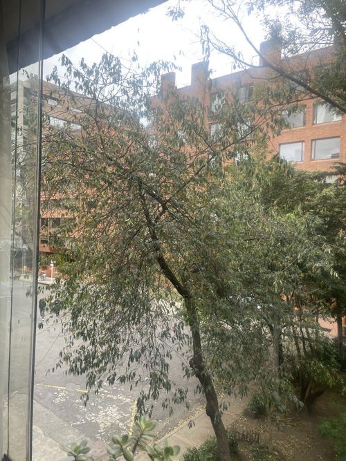 Apartamento en venta en Chico Norte, Bogotá · foto 15 de 15