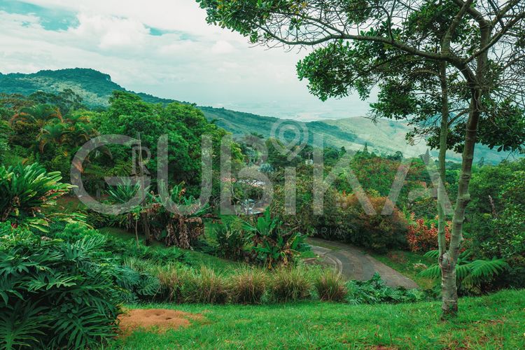 Lote en venta en Miravalle Dapa, Yumbo, 3148 m² · foto 14 de 24