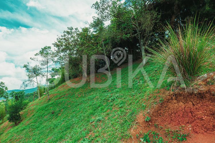 Lote en venta en Miravalle Dapa, Yumbo, 3148 m² · foto 16 de 24