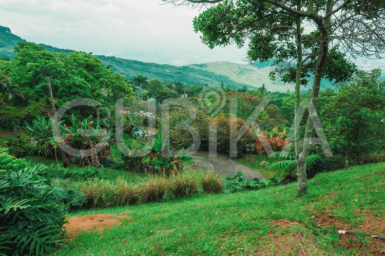 Lote en venta en Miravalle Dapa, Yumbo, 3148 m² · foto 21 de 24