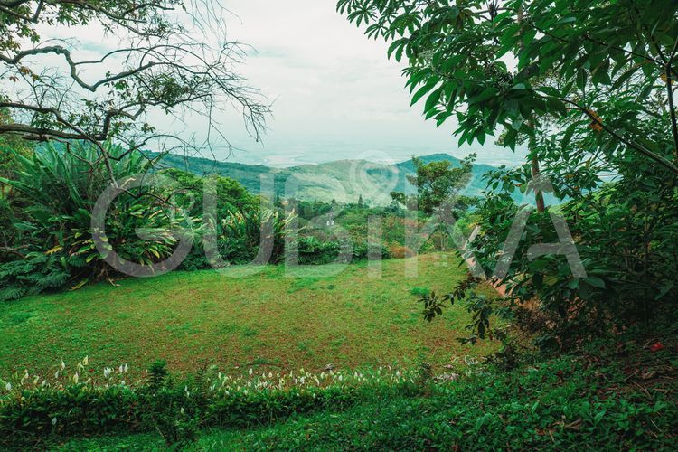 Lote en venta en Miravalle Dapa, Yumbo, 3148 m² · foto 24 de 24