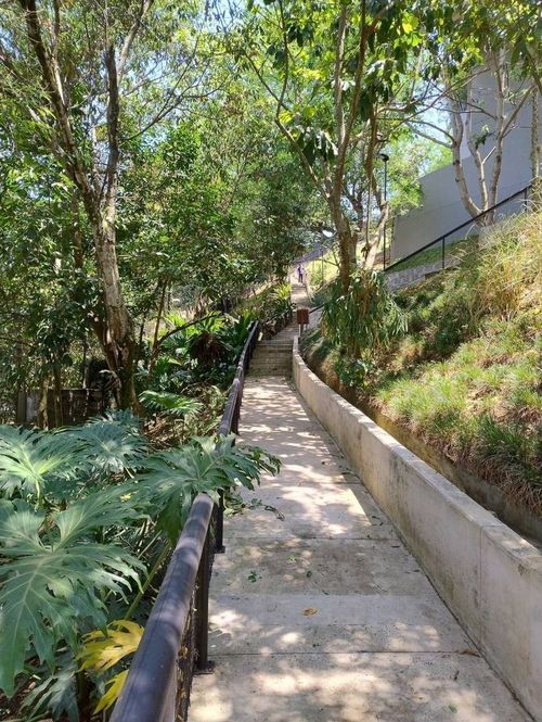 Apartamento de 4 alcobas en venta en Pance, Cali, 212 m² · foto 12 de 14
