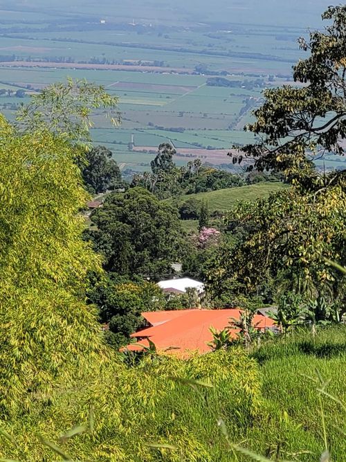 Finca en venta en Potrerillo, Palmira, 17000 m² · foto 4 de 24