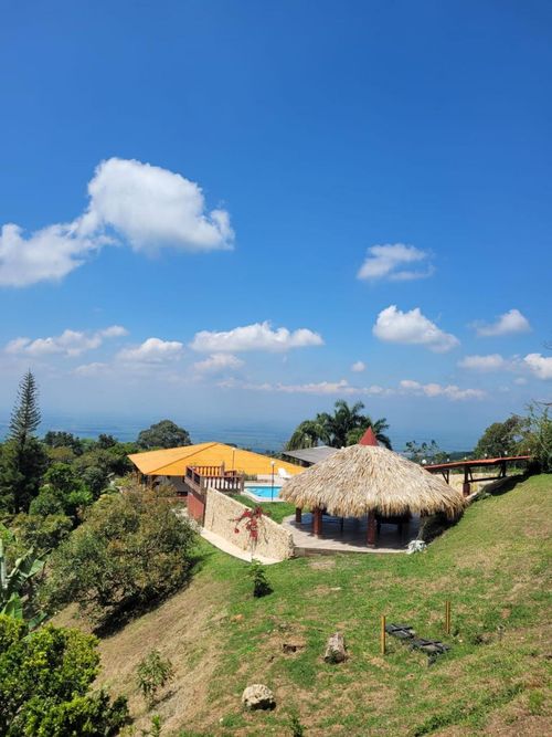 Finca en venta en Potrerillo, Palmira, 17000 m² · foto 5 de 24