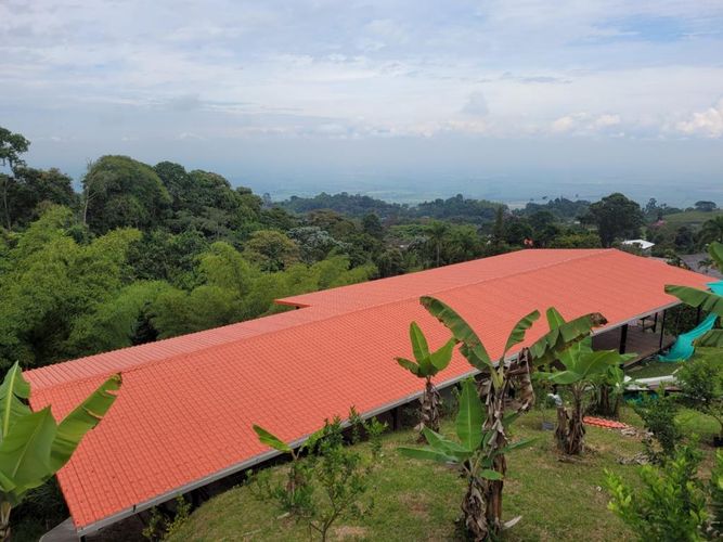 Finca en venta en Potrerillo, Palmira, 17000 m² · foto 23 de 24