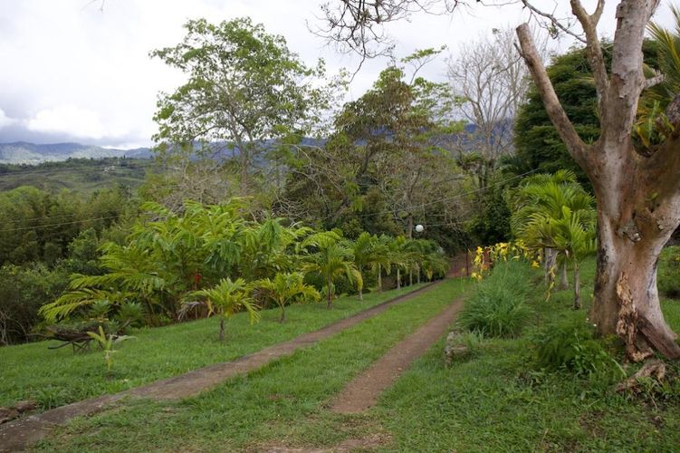 Finca en venta en El Palmar, Cali, 19 m² · foto 5 de 24