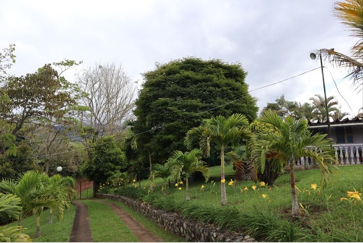 Finca en venta en El Palmar, Cali, 19 m² · foto 6 de 24