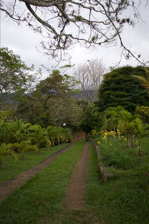 Finca en venta en El Palmar, Cali, 19 m² · foto 7 de 24