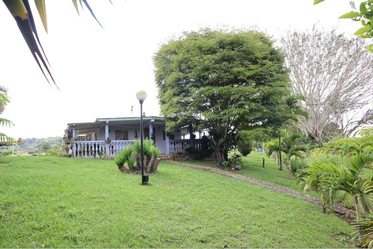Finca en venta en El Palmar, Cali, 19 m² · foto 8 de 24