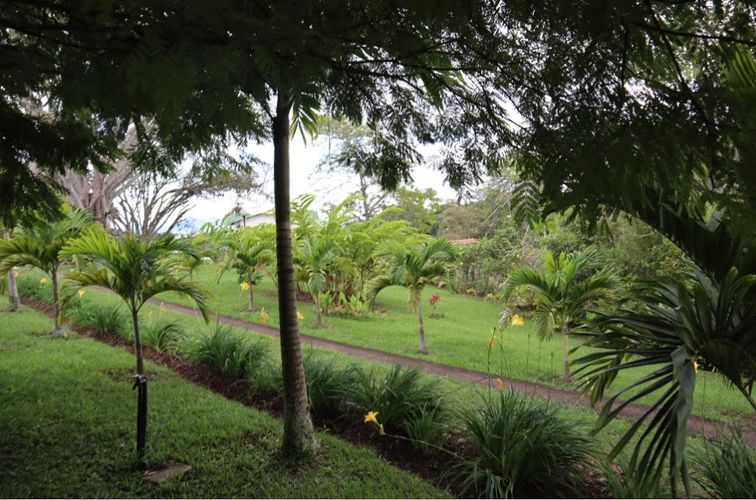 Finca en venta en El Palmar, Cali, 19 m² · foto 11 de 24
