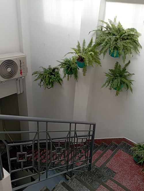 Oficina en arriendo en Centenario, Cali, 30 m² · foto 18 de 24