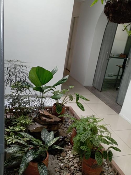 Oficina en arriendo en Centenario, Cali, 30 m² · foto 24 de 24
