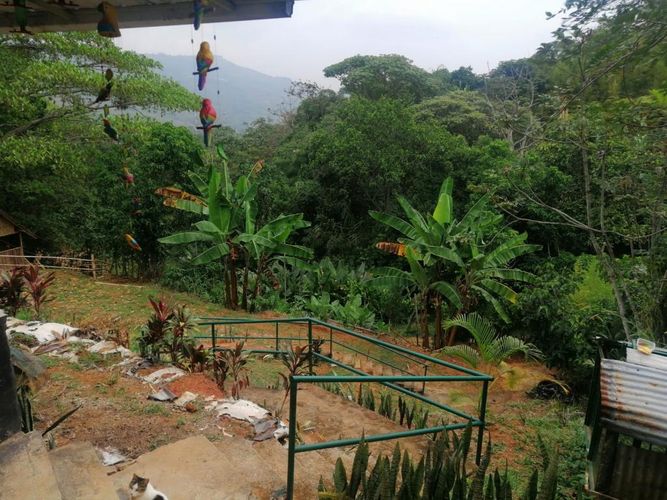 Casa de 3 alcobas en venta en Sector Cañaveralejo Sur La Sirena, Cali, 160 m² · foto 4 de 16