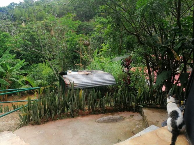 Casa de 3 alcobas en venta en Sector Cañaveralejo Sur La Sirena, Cali, 160 m² · foto 5 de 16