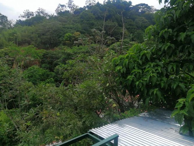 Casa de 3 alcobas en venta en Sector Cañaveralejo Sur La Sirena, Cali, 160 m² · foto 6 de 16