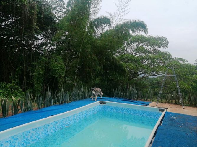 Casa de 3 alcobas en venta en Sector Cañaveralejo Sur La Sirena, Cali, 160 m² · foto 7 de 16