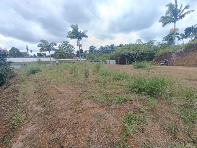 Lote en venta en Condina, Pereira, 1500 m² · foto 3 de 8