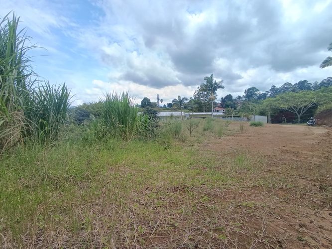 Lote en venta en Condina, Pereira, 1500 m² · foto 5 de 8