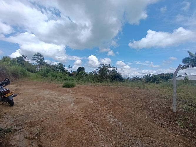 Lote en venta en Condina, Pereira, 1500 m² · foto 6 de 8