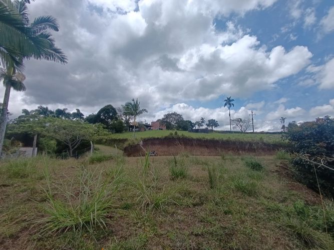 Lote en venta en Condina, Pereira, 1500 m² · foto 7 de 8