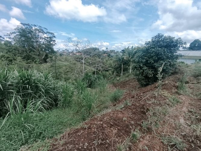 Lote en venta en Condina, Pereira, 1500 m² · foto 8 de 8