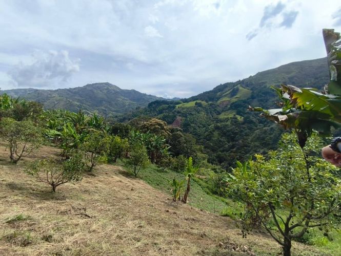 Finca en venta en Nazareth, El Retiro, 200 m² · foto 6 de 24