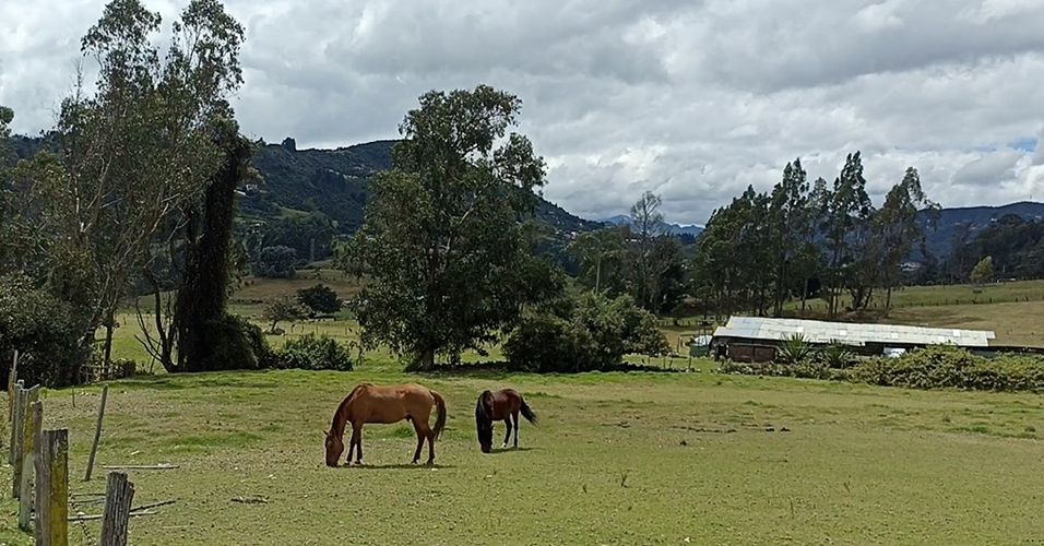 Lote en venta en San Rafael, La Calera, 5215 m² · foto 9 de 24