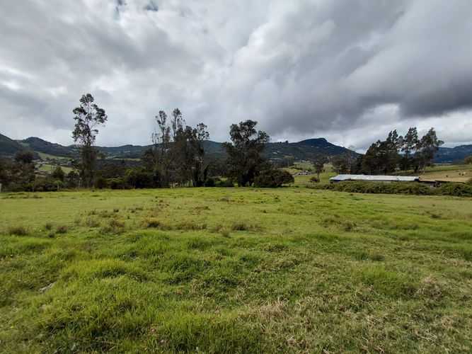 Lote en venta en San Rafael, La Calera, 5215 m² · foto 10 de 24