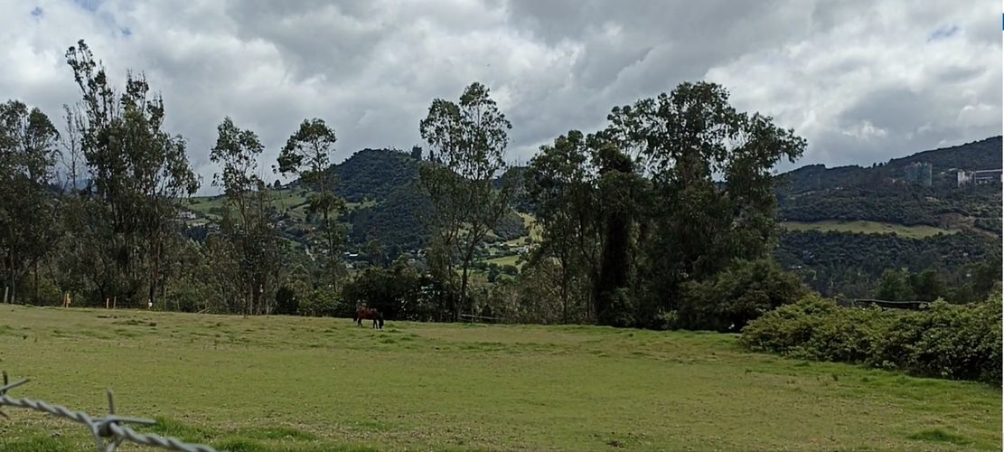 Lote en venta en San Rafael, La Calera, 5215 m² · foto 12 de 24