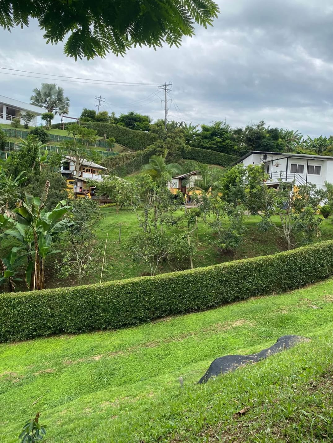 Casa en venta en Morelia, Pereira · foto 9 de 10