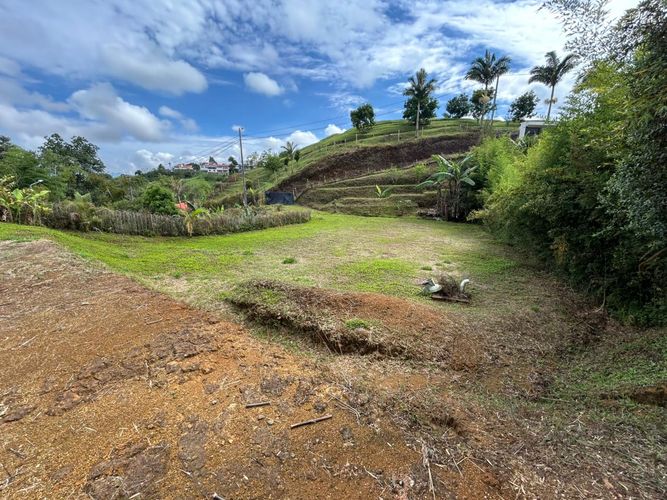 Lote en venta en Condina, Pereira, 2150 m² · foto 8 de 12
