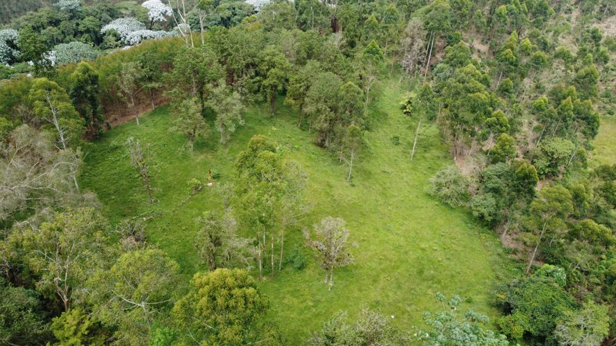 Lote en venta en Tribunas Corcega, Pereira, 14767 m² · foto 2 de 12